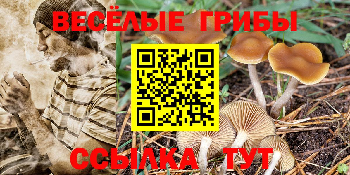 КОКАИН  Меф  Канаш  Канабис  Вход с VPN  МЕФ   ГАШ 